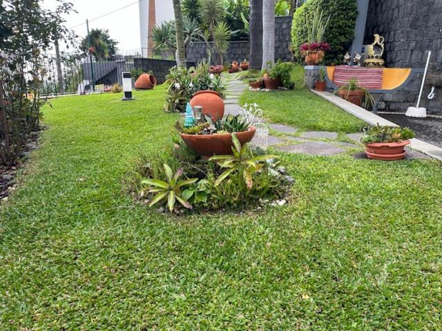 Zeza's Garden *