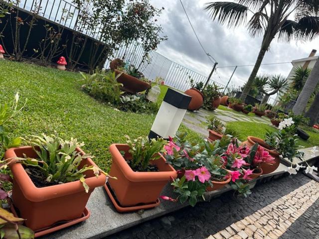 Zeza's Garden Holiday home
