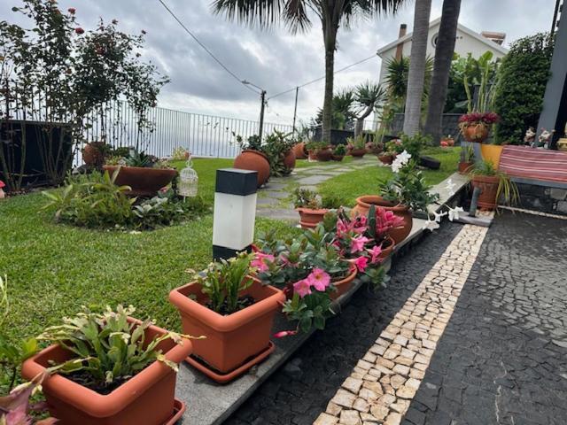 Zeza's Garden Holiday home Calheta (Madeira)