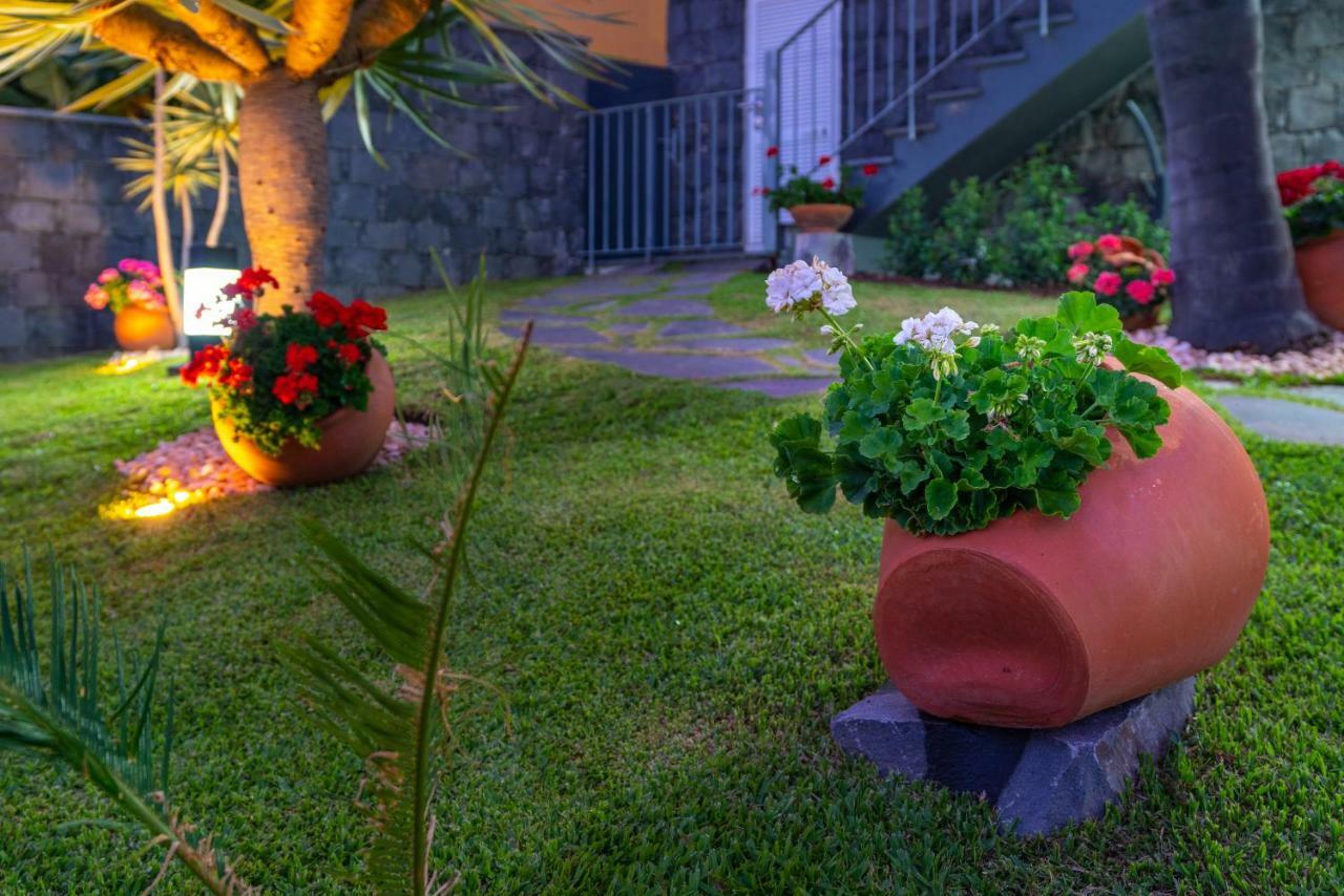Zeza's Garden Holiday home