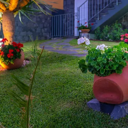 Villa Zeza´s Garden Calheta  Exterior foto