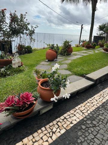 Holiday home Zeza's Garden Calheta (Madeira)